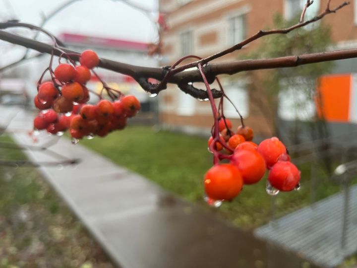 Прогноз погоды на 19 октября