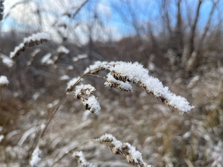 В Агрызе существенно похоладает