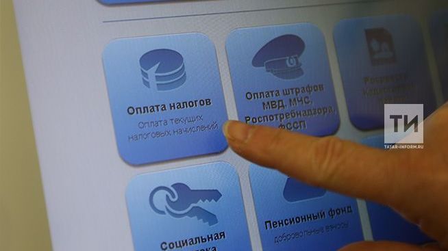 Как агрызцы могут заплатить налоги