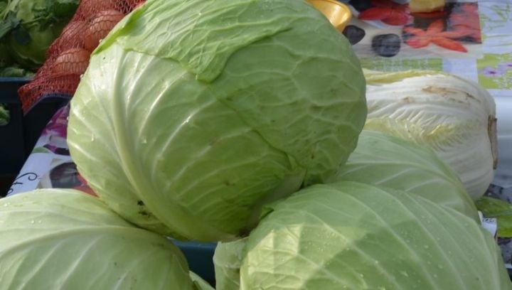 Уксустан башка кәбестә тозлау РЕЦЕПТЫ