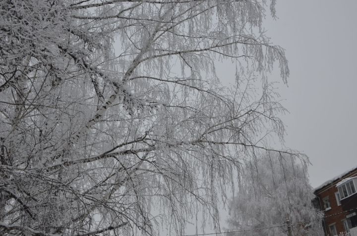 В Агрызском районе сохраняется аномально-холодная погода