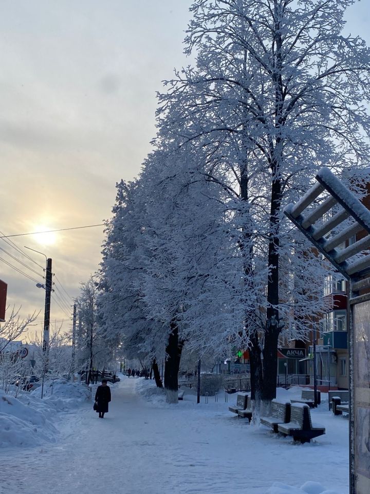Прогноз погоды на 29 декабря