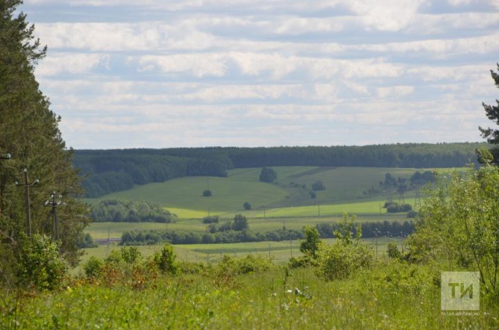 В Агрызском районе появится новая дорога к рекреационной зоне Красный Бор
