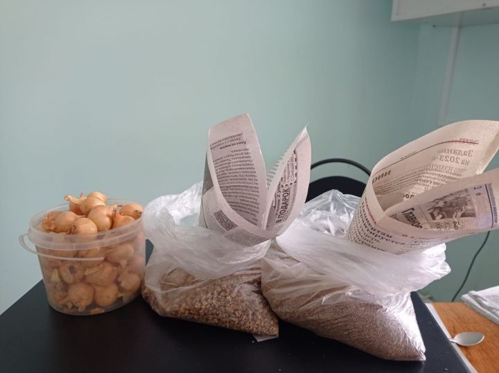 Сельчанам бесплатно раздадут семена
