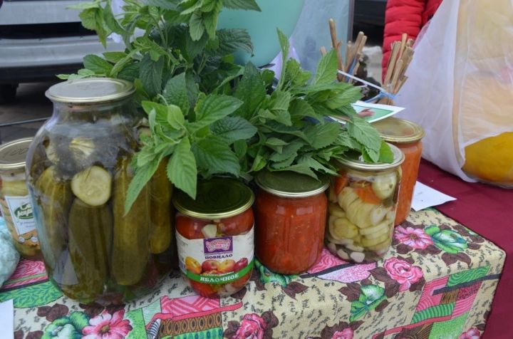 Известна дата проведения сельскохозяйственной ярмарки в Агрызе