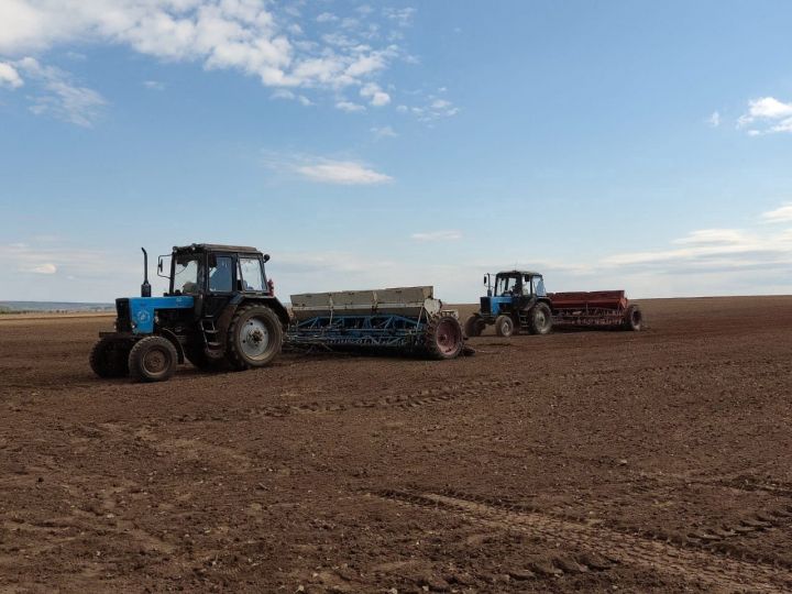 В агрофирме «Тугызбуй» начали сев ячменя