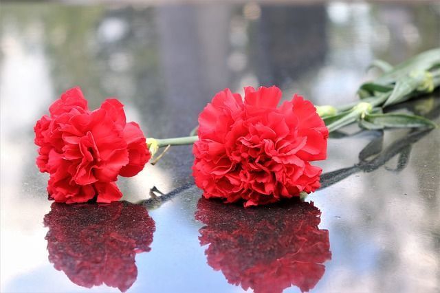 За один месяц в районе умерло 33 человека
