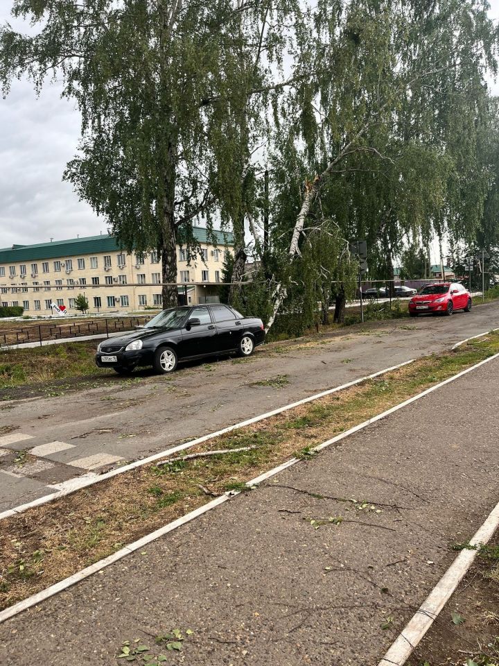 В Агрызе от последствий урагана расчистили основные дороги