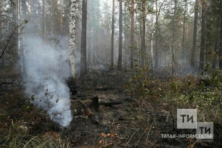 Татарстанда шторм кисәтүе игълан ителде