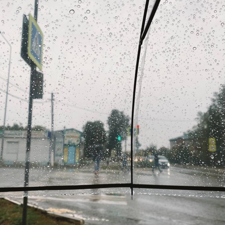 Дождливая погода и грозы продлятся всю неделю