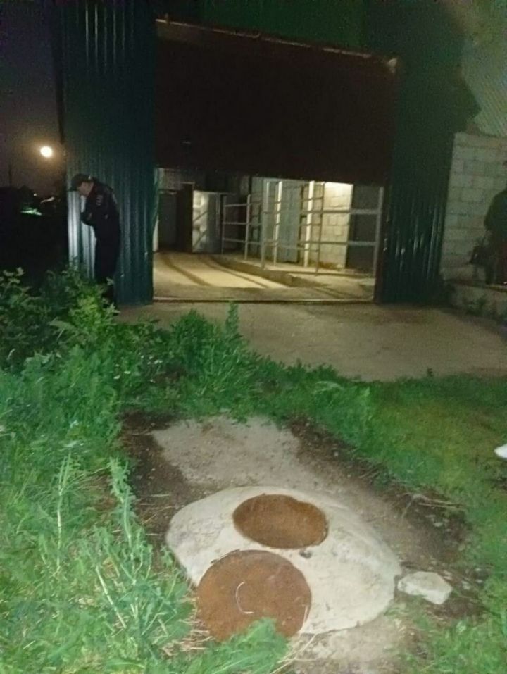 Ике яшьлек кыз коега егылып төшеп һәлак булган