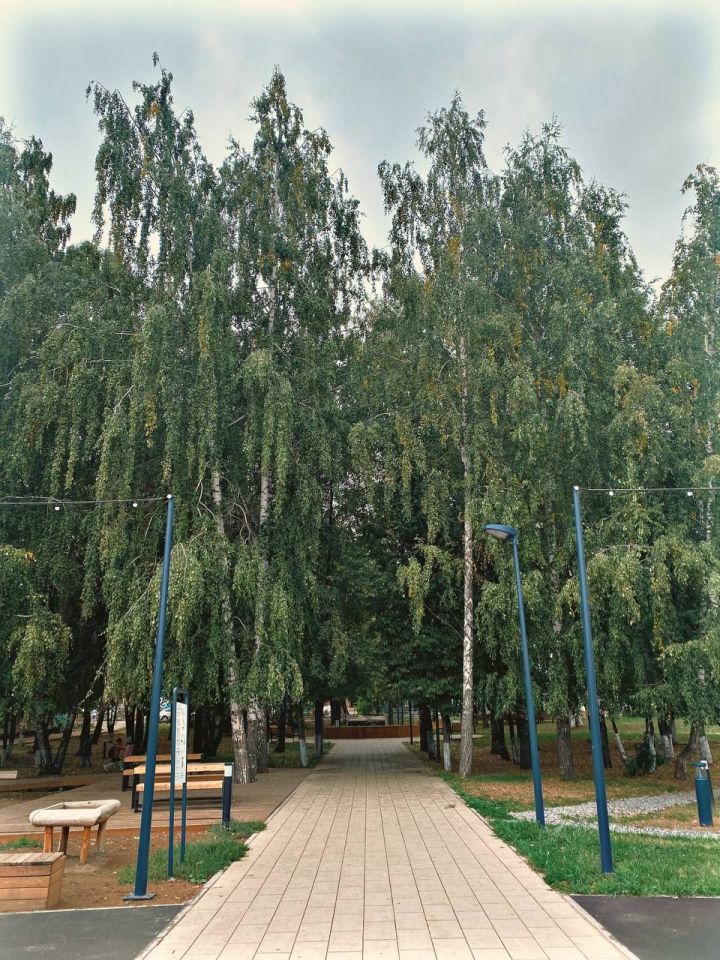 Прогноз погоды на 1 августа