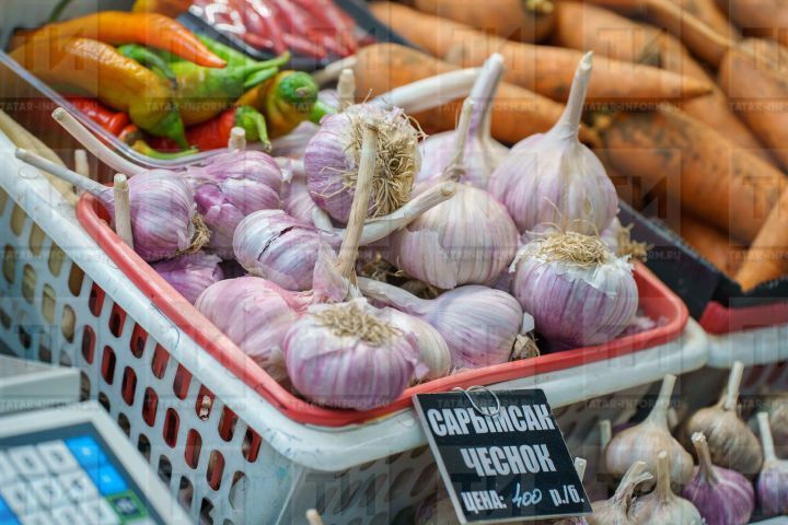 Сарымсакны кайчан алырга?