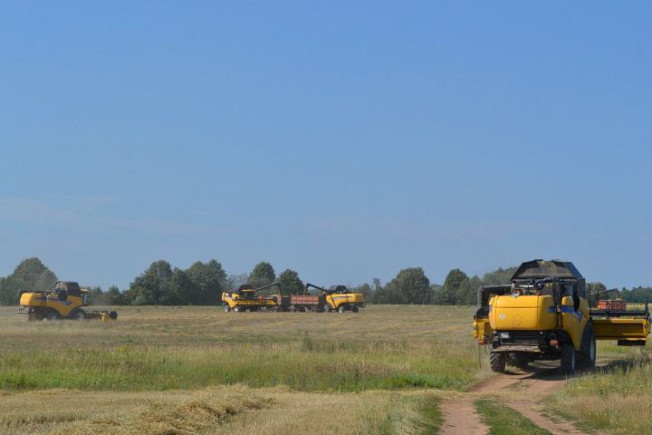 В фермерских хозяйствах заготовлено 670 тонн сена