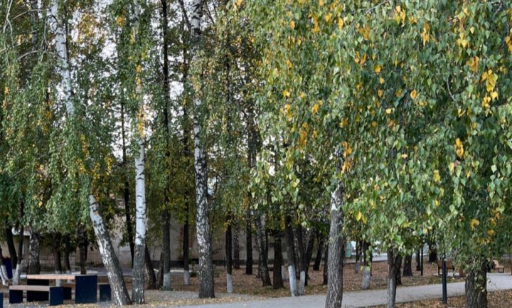 Прогноз погоды на 23 сентября