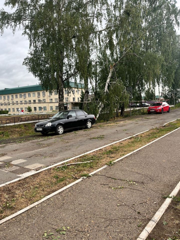 В Татарстане ожидается сильный ветер