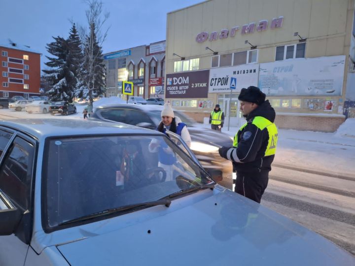 В Агрызе прошла акция «Пристегни самое дорогое!»