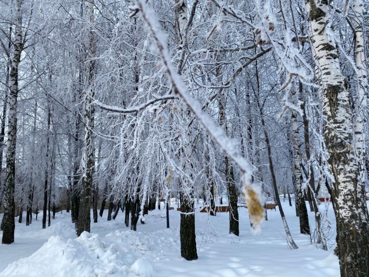 Прогноз погоды в Агрызе на сегодня
