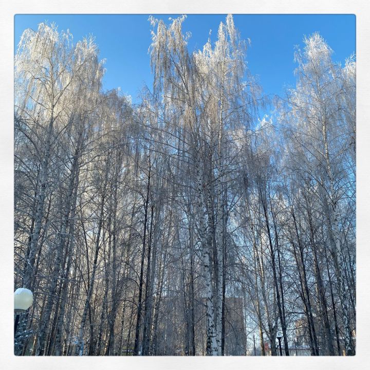 Прогноз погоды в Агрызе на вторник