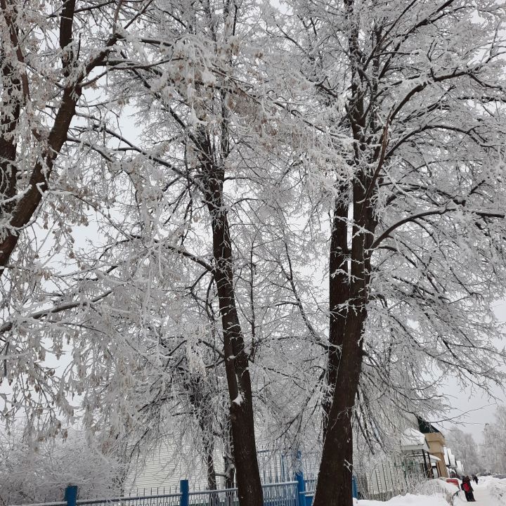 В Агрызском районе ожидается морозная ночь