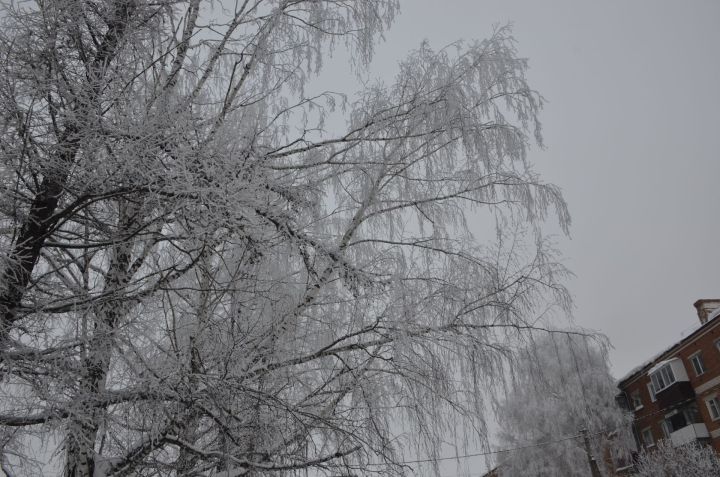Прогноз погоды на 14 февраля