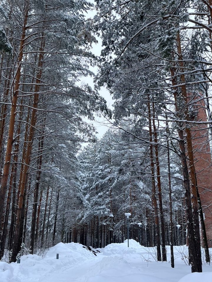 Прогноз погоды на 21 февраля