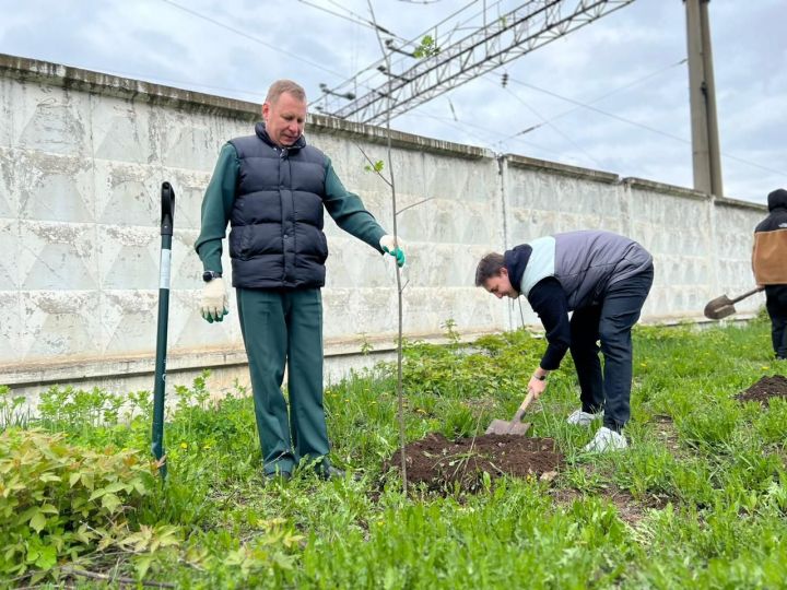 В Агрызе продолжается посадка деревьев в рамках международной акции «Сад памяти»