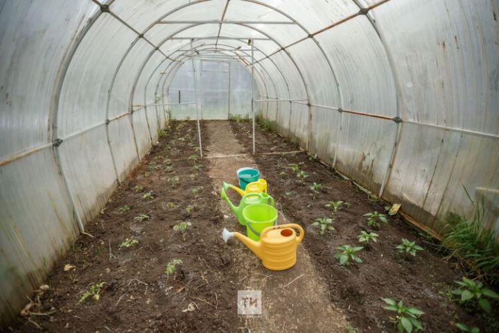 Гадәттән тыш хәлләр министрлыгы кырау вакытында иминлек турында искәртте