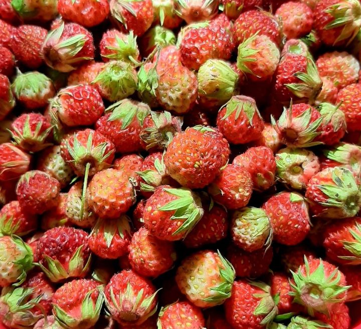 Рецепт клубничного варенья от Флюры Шарифуллиной