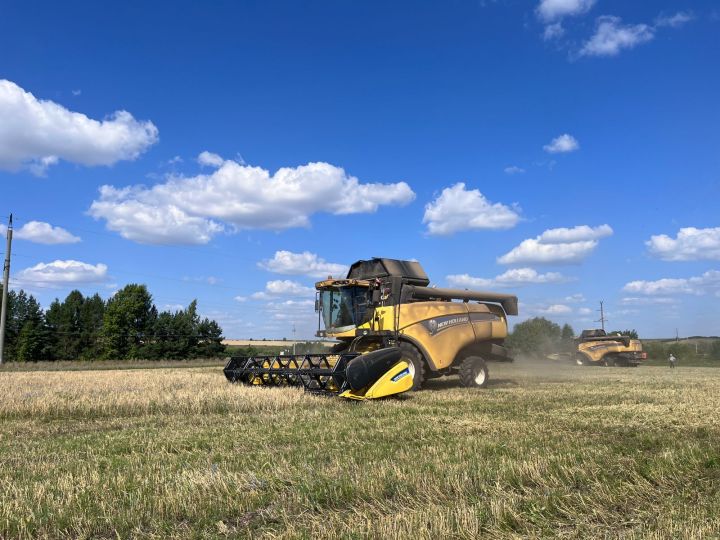 Прогноз погоды на среду в Агрызе