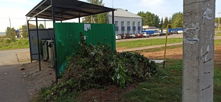 Не относятся к ТКО: Что делать с растительным мусором?