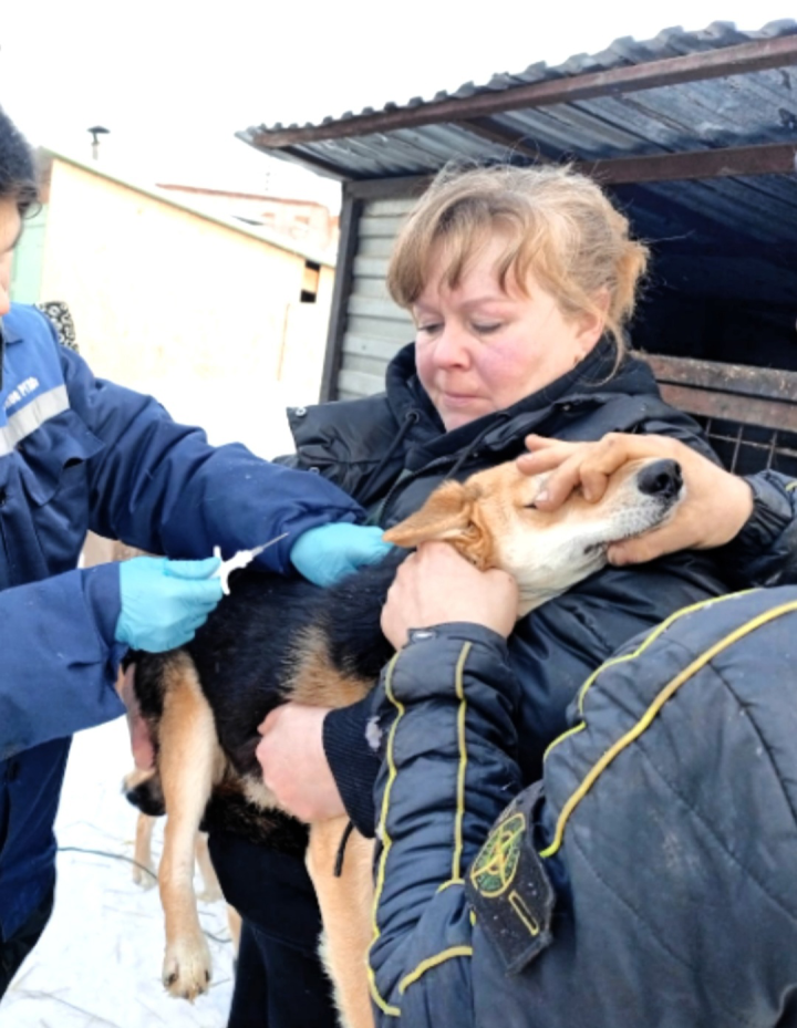 Әгерҗе районында этләрне теркәү эше башланды