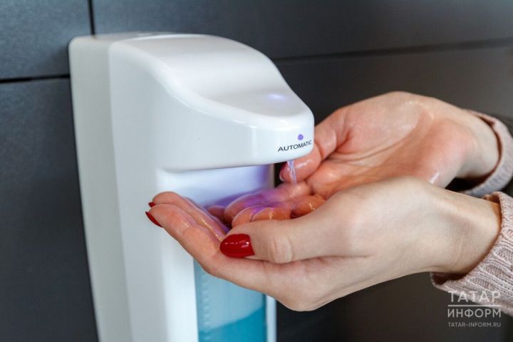 Салкыннарда бит һәм кул тиресен тәрбияләү буенча киңәшләр