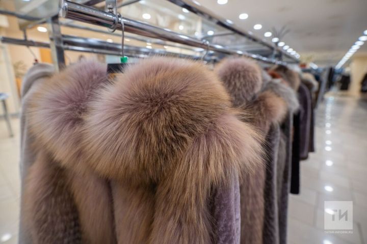 Кышкы киемнәрне көя күбәләгеннән коткару буенча файдалы киңәшләр