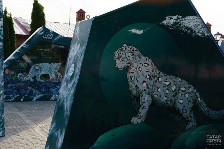 В Татарстане стартует творческий конкурс «Снежный барс» для школьников