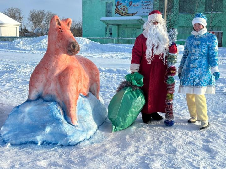 Девятерня авылында кар сыннары каршы ала