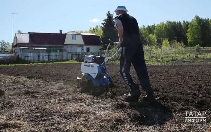 По новому закону владельцы заброшенных участков обязаны привести землю в порядок за 3 года