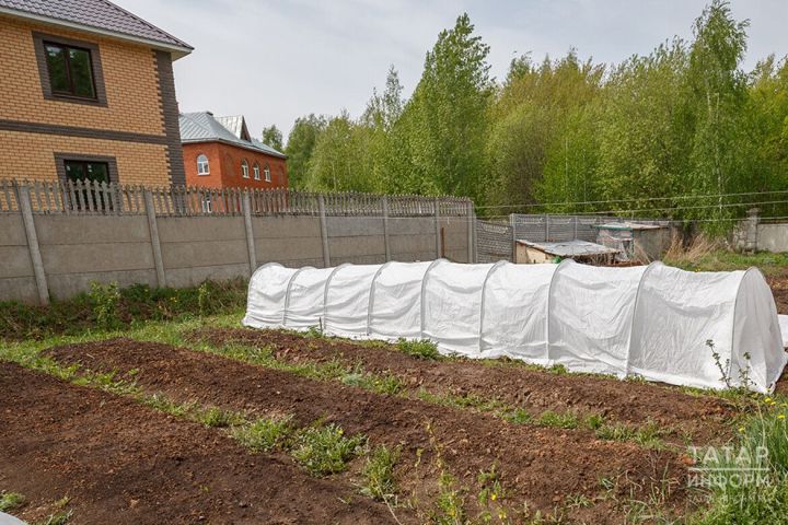 Ашамлык калдыклары ярдәмендә бакча уңышын арттырып була