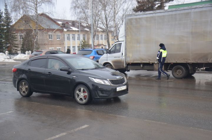 В Агрызе прошел рейд ГИБДД «Тоннель»