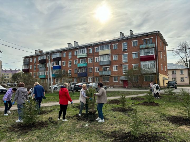 В Агрызе высадили «Сад памяти» в честь героев прошлого и настоящего