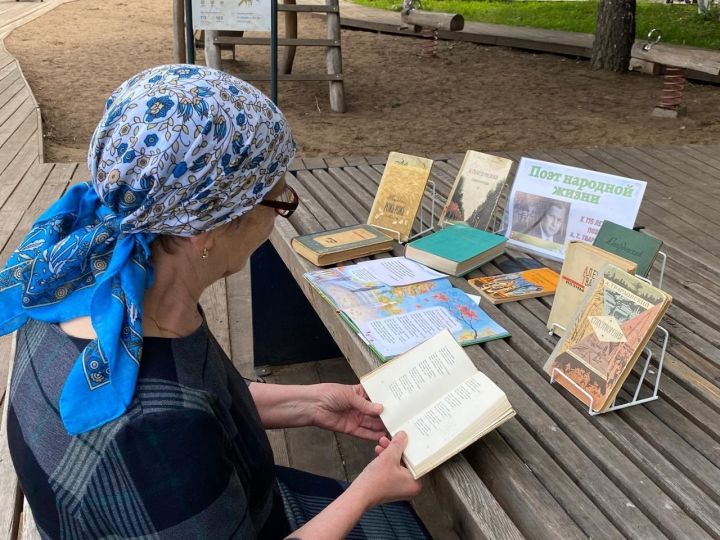 В Агрызе организовали книжную выставку «Поэт народной жизни»