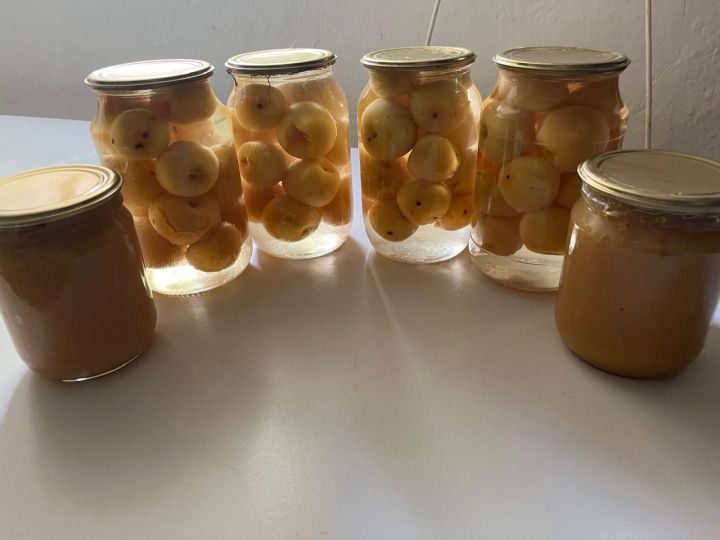 Рецепт моченых яблок от Эльмиры Расулевой