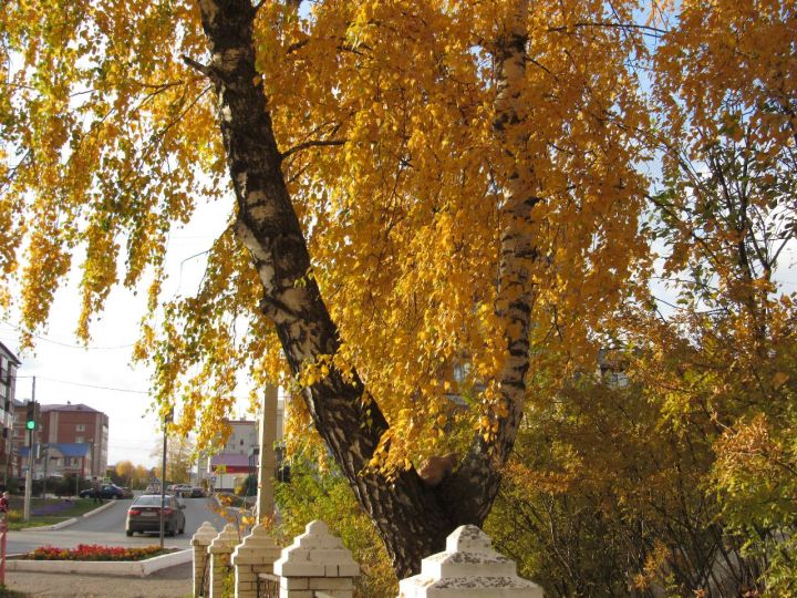 Когда в Татарстане наступит «бабье лето»?