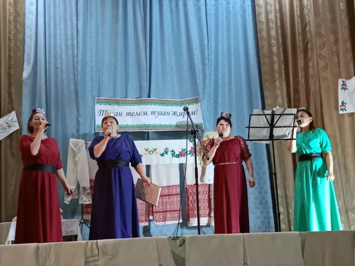 Яңавылда районыбыз каләм осталары очрашты