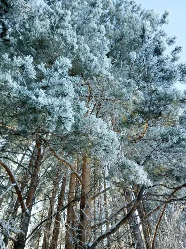 Погода в Агрызском районе на 24 февраля