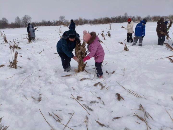 Әгерҗе районының табигать сакчылары “Балык булсын!” акциясенә кушылдылар