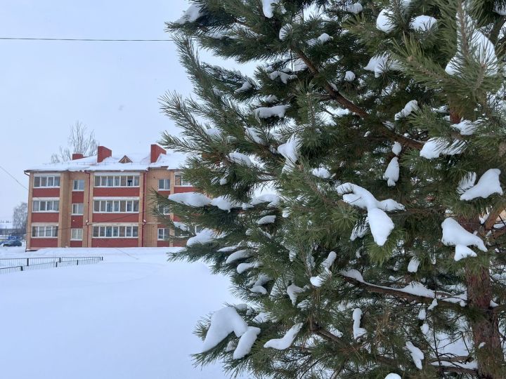 Погода в Агрызском районе на 13 марта