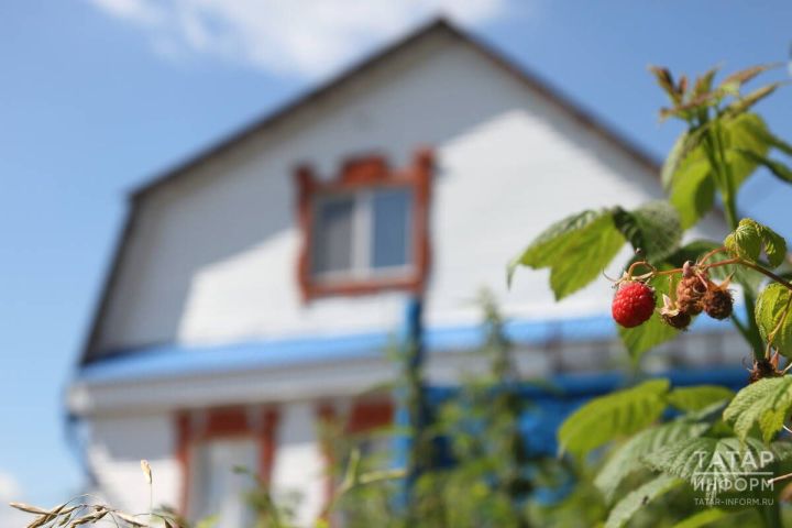 Подготовка к дачному сезону: как защитить свои права потребителя