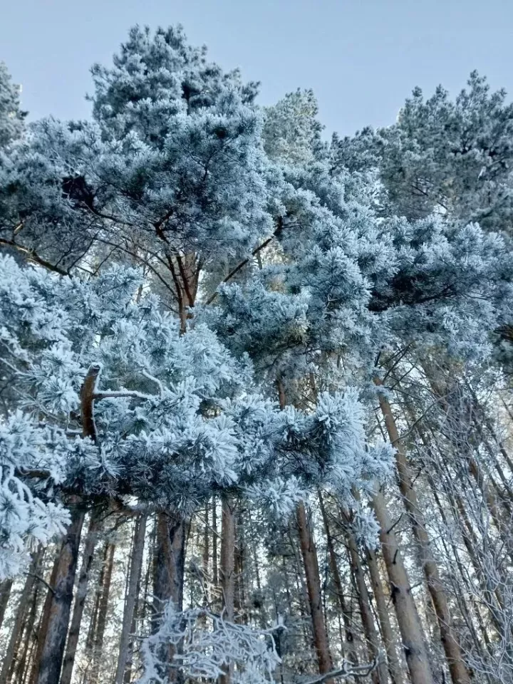 Зима не отступает: в Татарстане вновь усилятся морозы