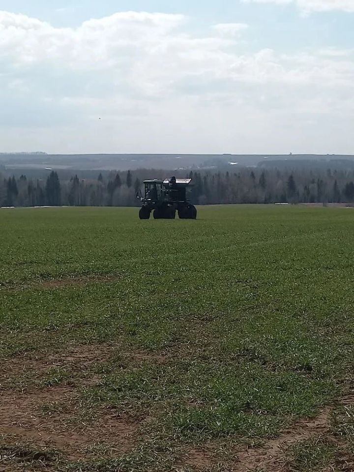Язгы кыр эшләре